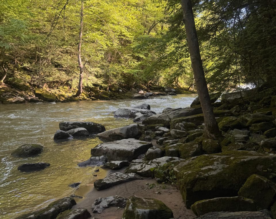 Hiking with Kids